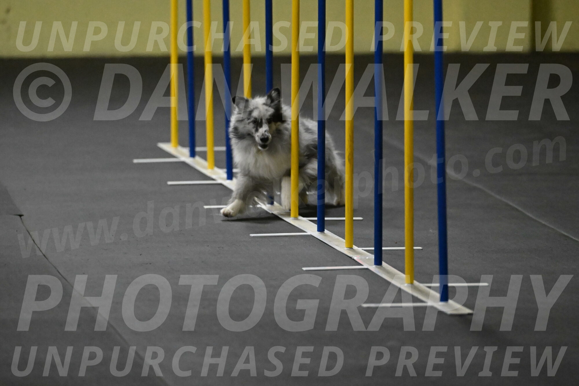 Dulci-Weinrich-08310