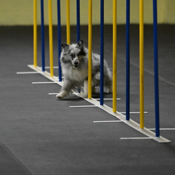 Dulci-Weinrich-08310