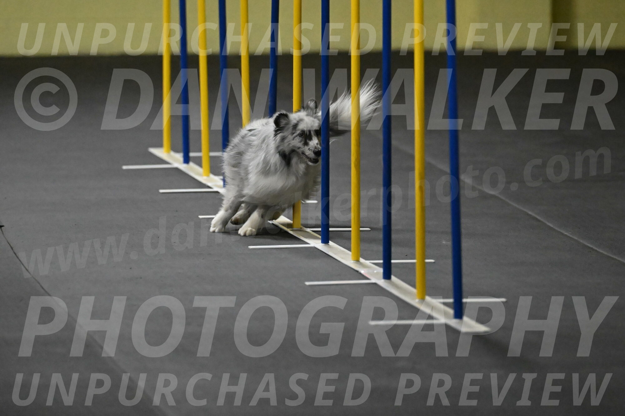 Dulci-Weinrich-08311