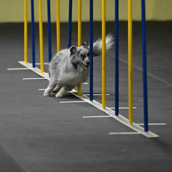 Dulci-Weinrich-08311