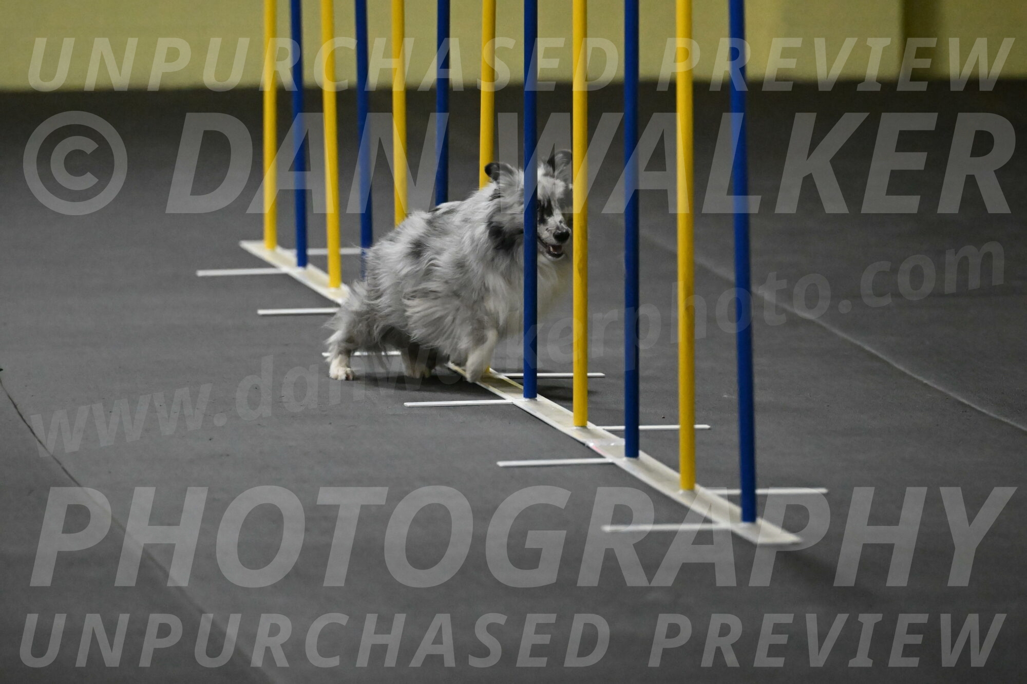 Dulci-Weinrich-08312