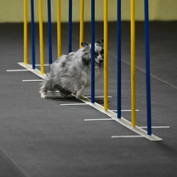 Dulci-Weinrich-08312