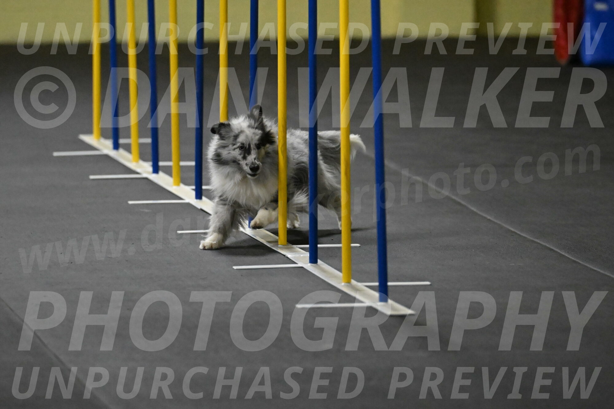 Dulci-Weinrich-08315