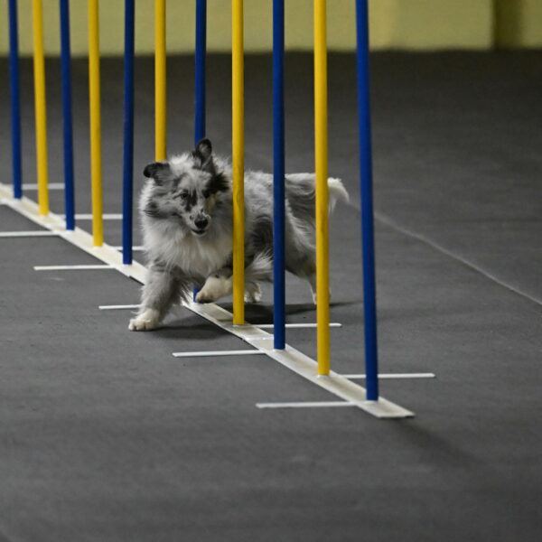 Dulci-Weinrich-08315