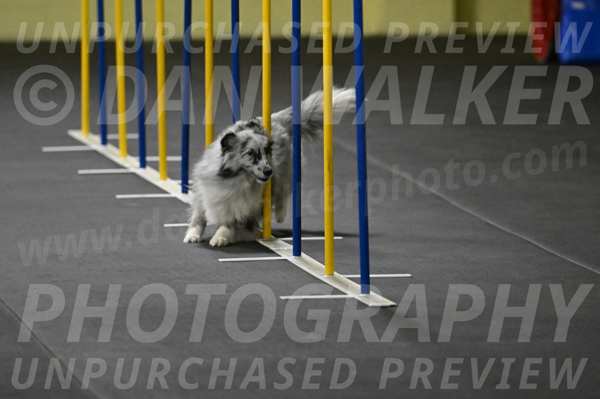 Dulci-Weinrich-08316