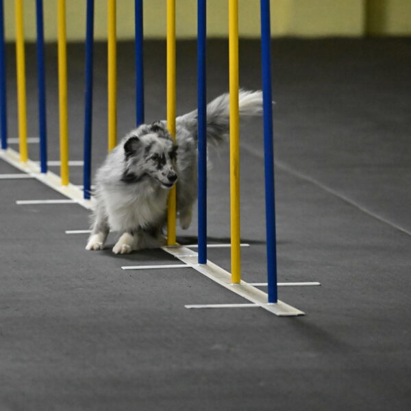 Dulci-Weinrich-08316