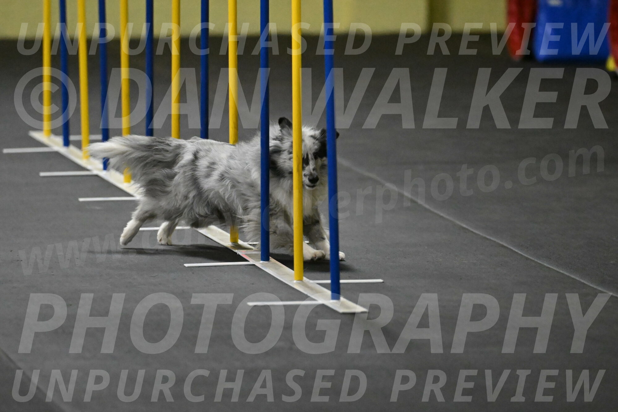 Dulci-Weinrich-08318