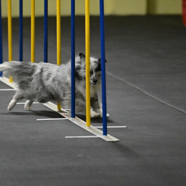 Dulci-Weinrich-08318