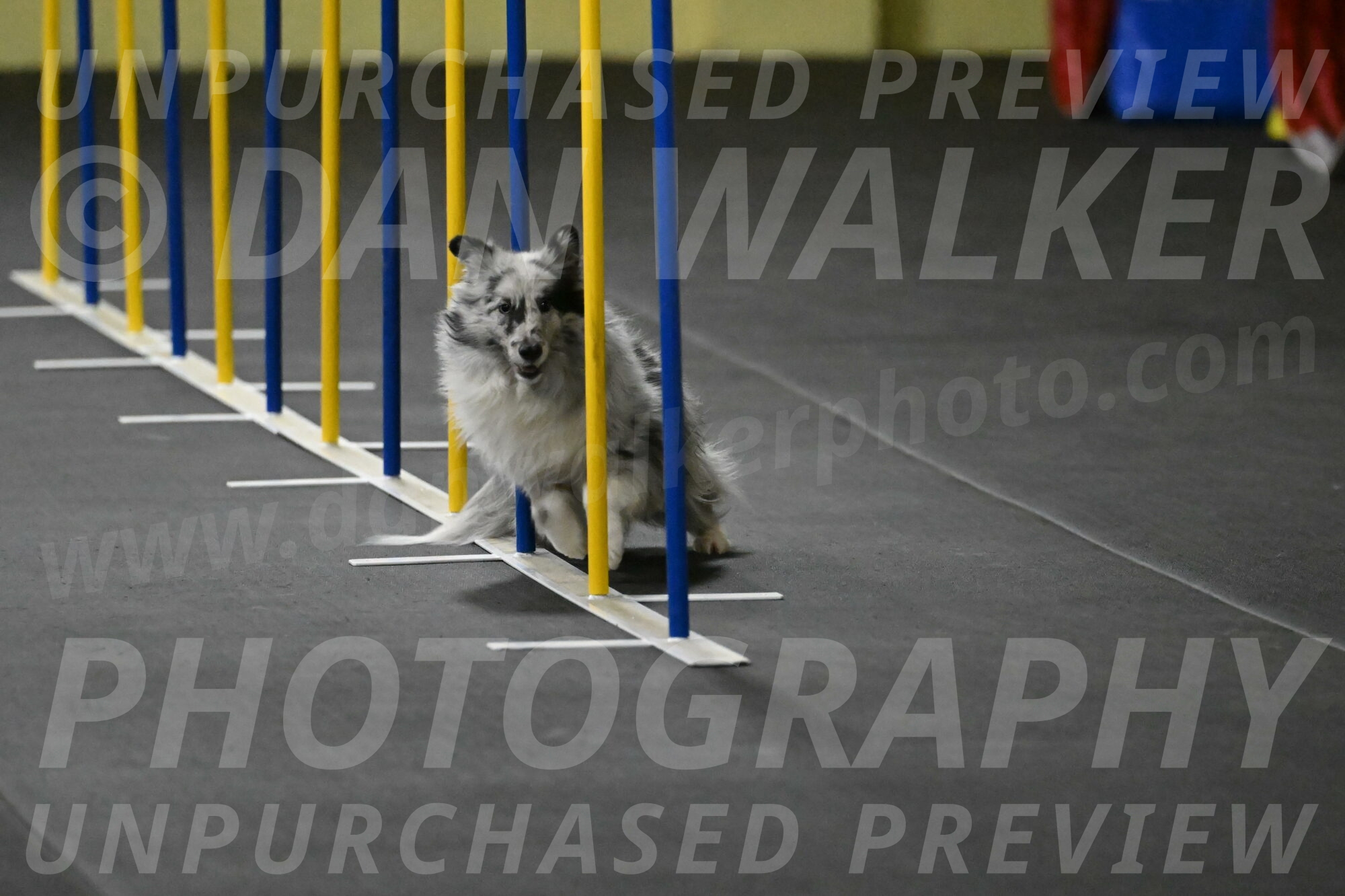 Dulci-Weinrich-08320