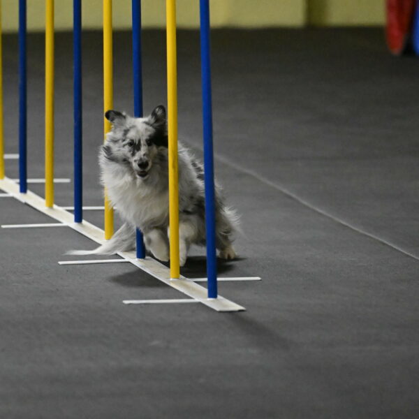 Dulci-Weinrich-08320