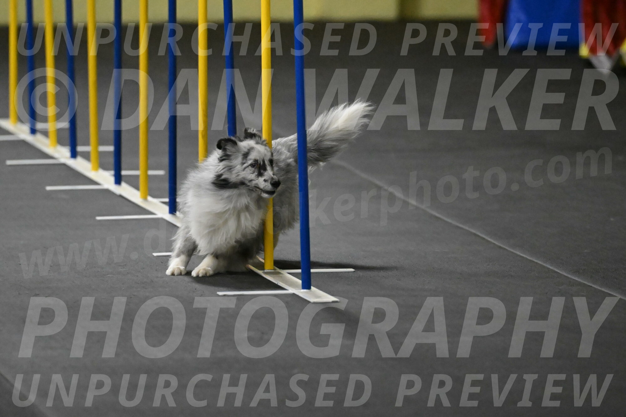 Dulci-Weinrich-08321