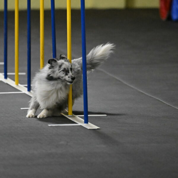 Dulci-Weinrich-08321