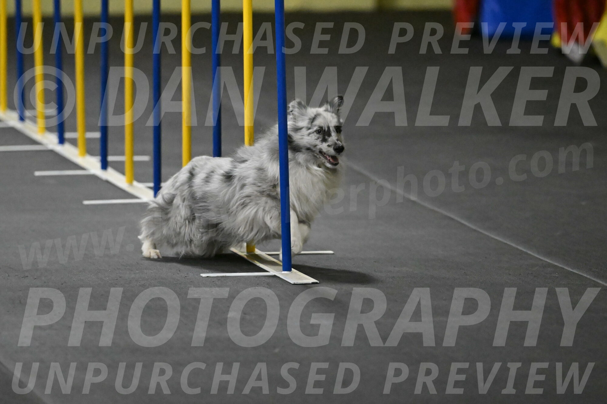 Dulci-Weinrich-08323