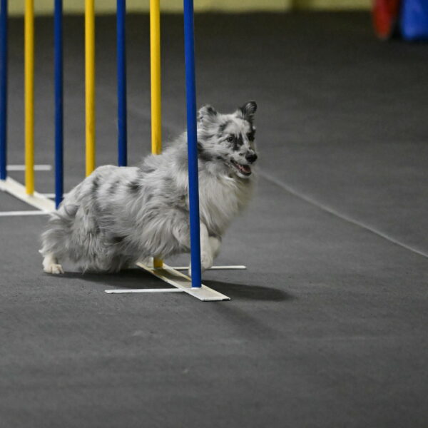 Dulci-Weinrich-08323