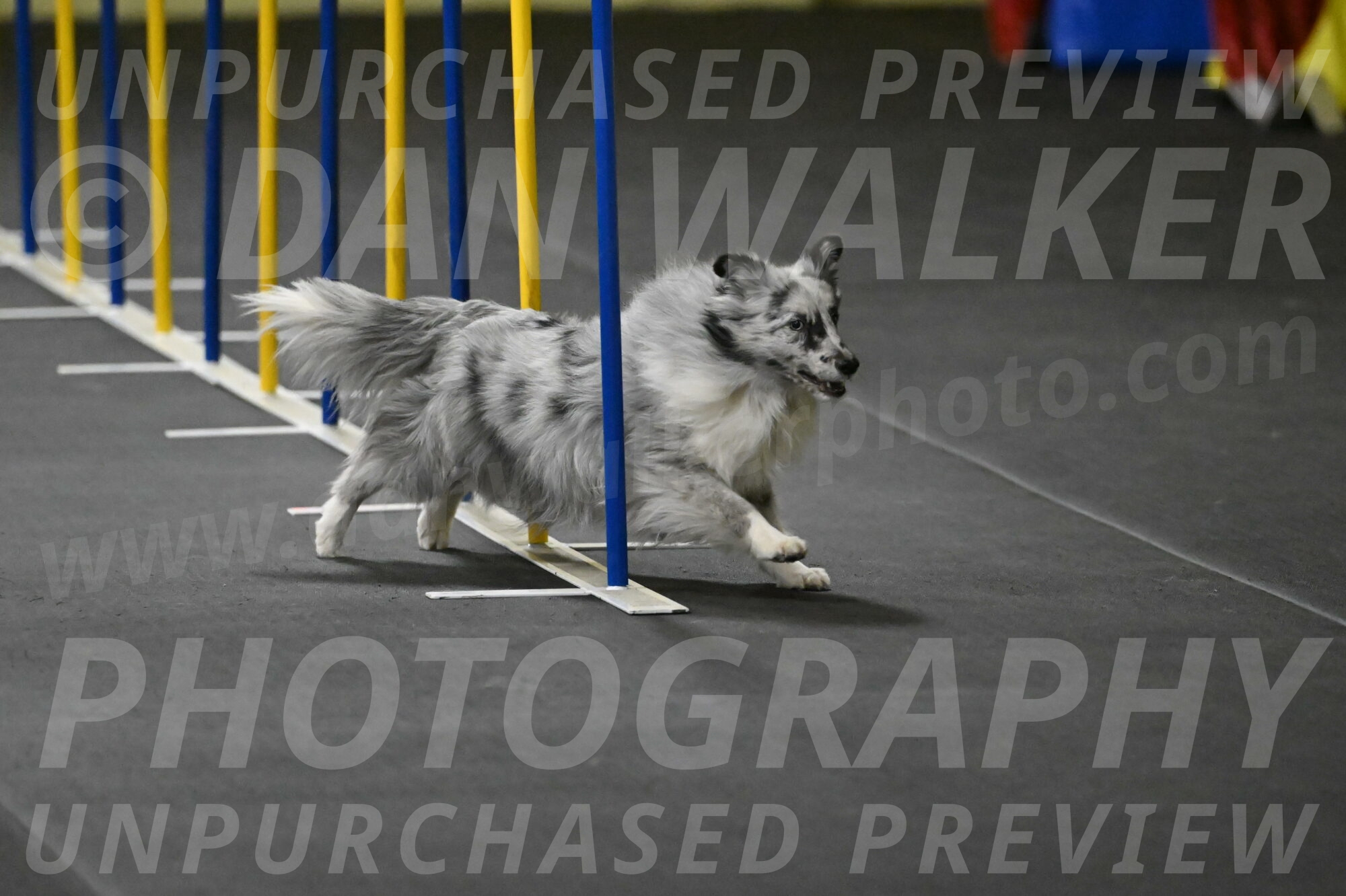 Dulci-Weinrich-08324