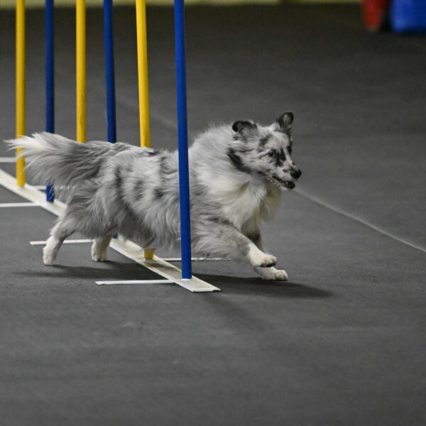 Dulci-Weinrich-08324