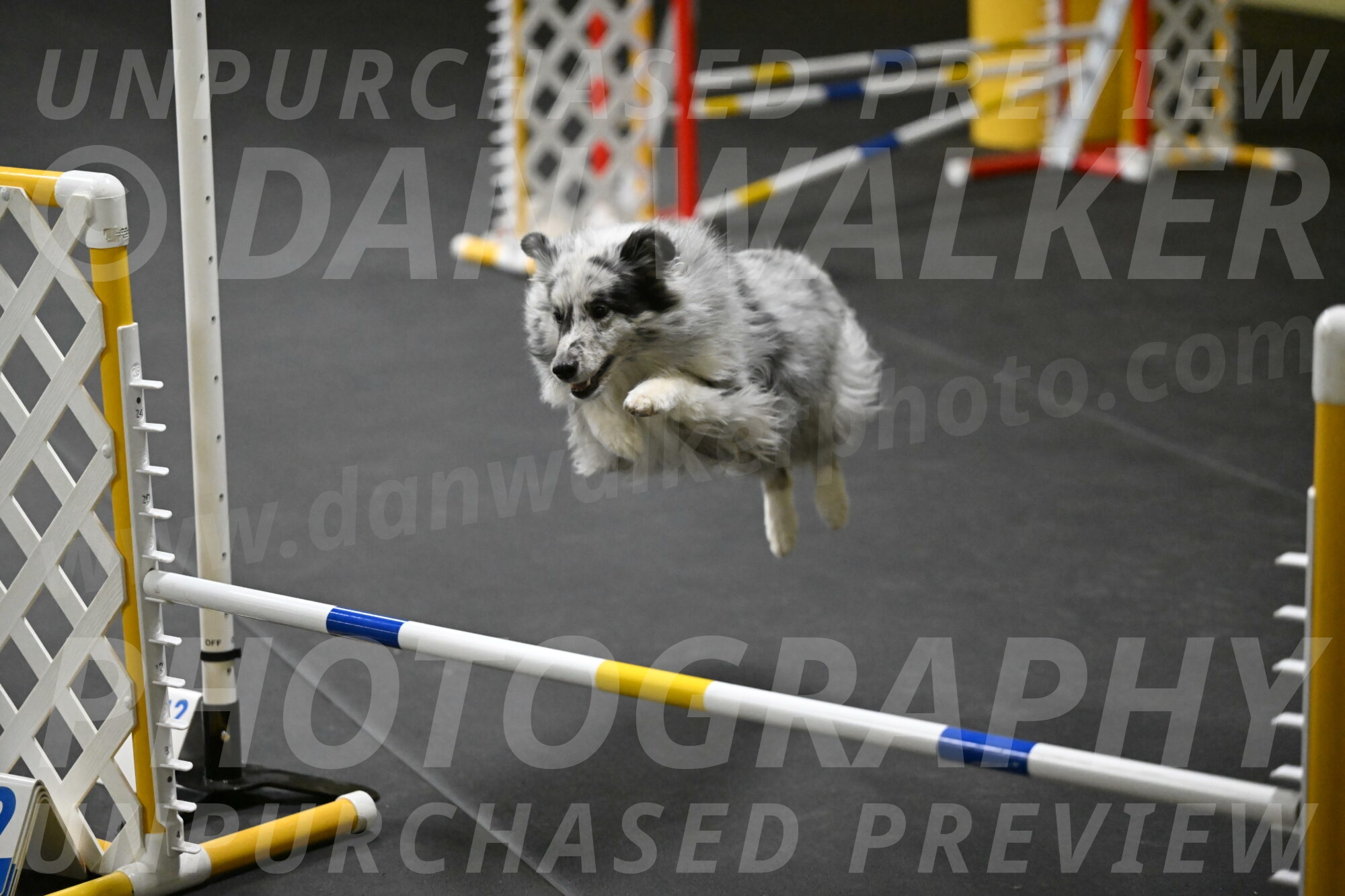 Dulci-Weinrich-08338