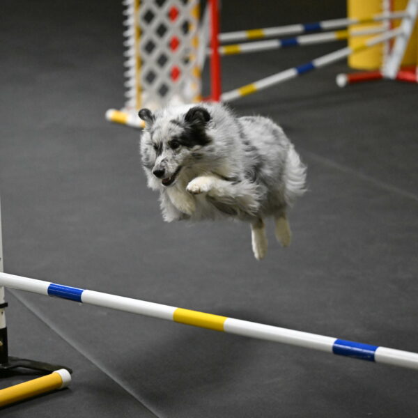 Dulci-Weinrich-08338