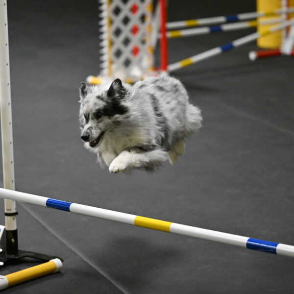 Dulci-Weinrich-08339