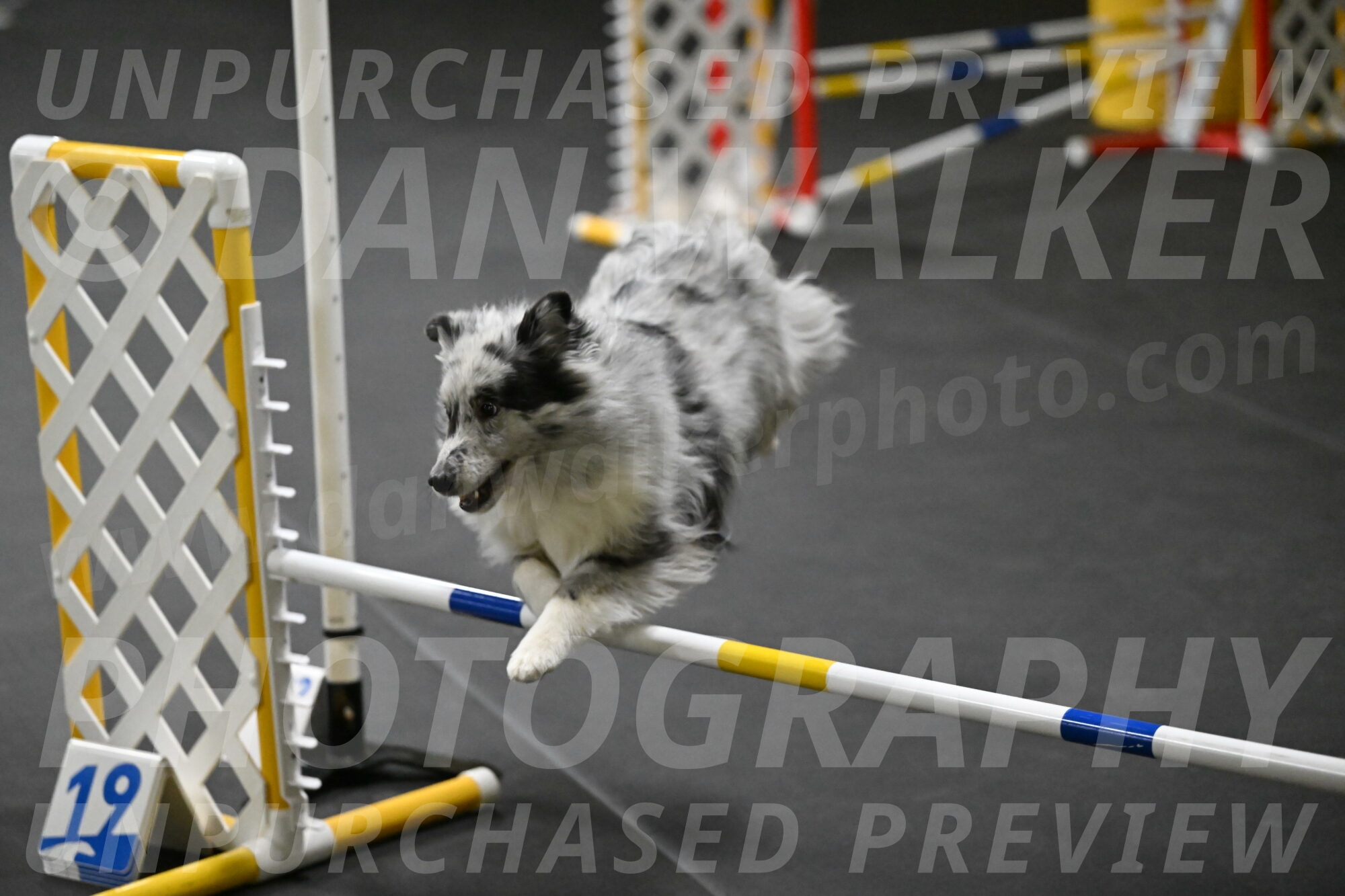 Dulci-Weinrich-08340