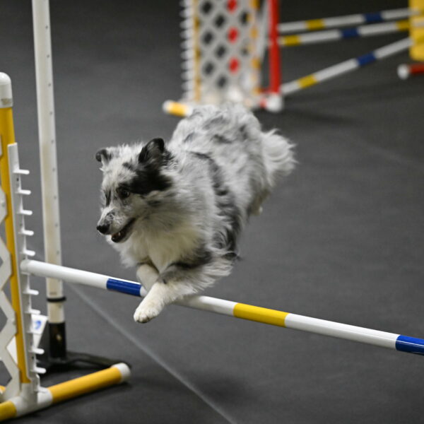 Dulci-Weinrich-08340