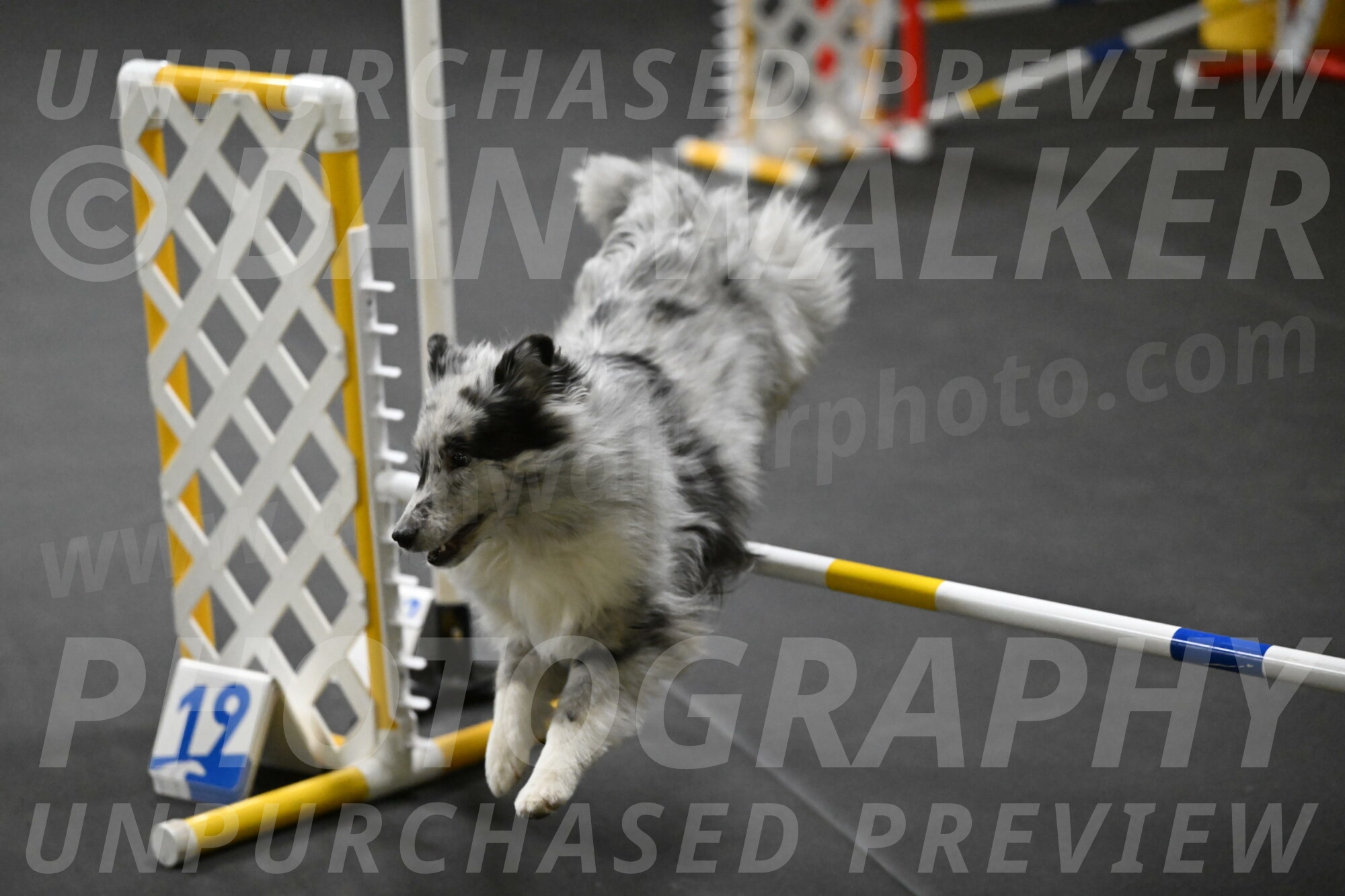 Dulci-Weinrich-08341