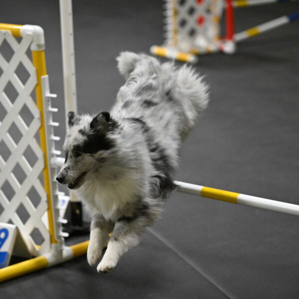 Dulci-Weinrich-08341