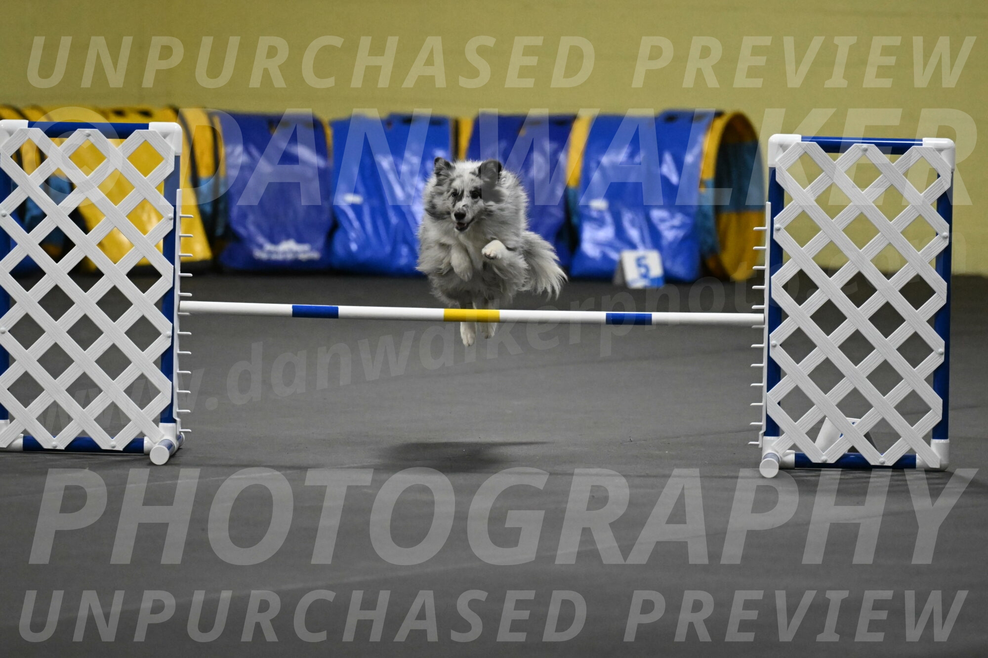 Dulci-Weinrich-08342