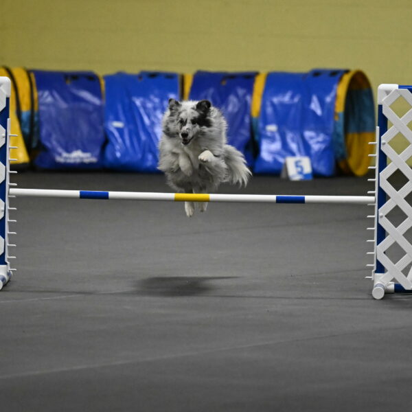 Dulci-Weinrich-08342