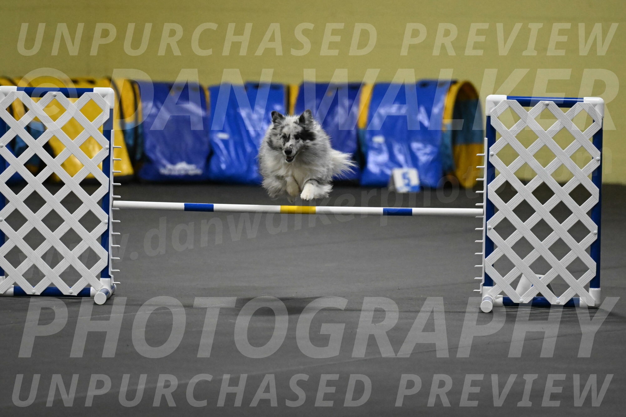 Dulci-Weinrich-08343