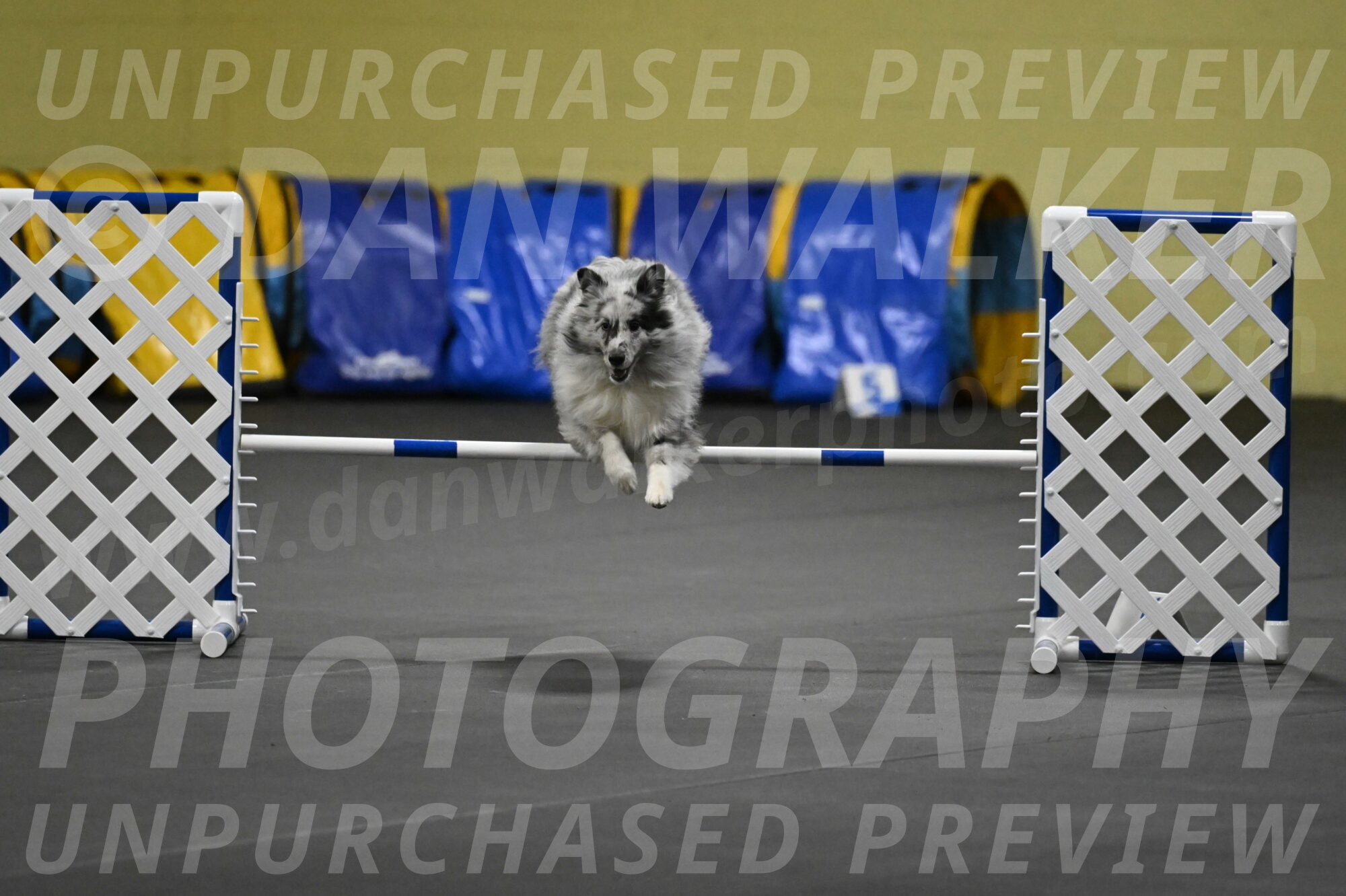 Dulci-Weinrich-08344