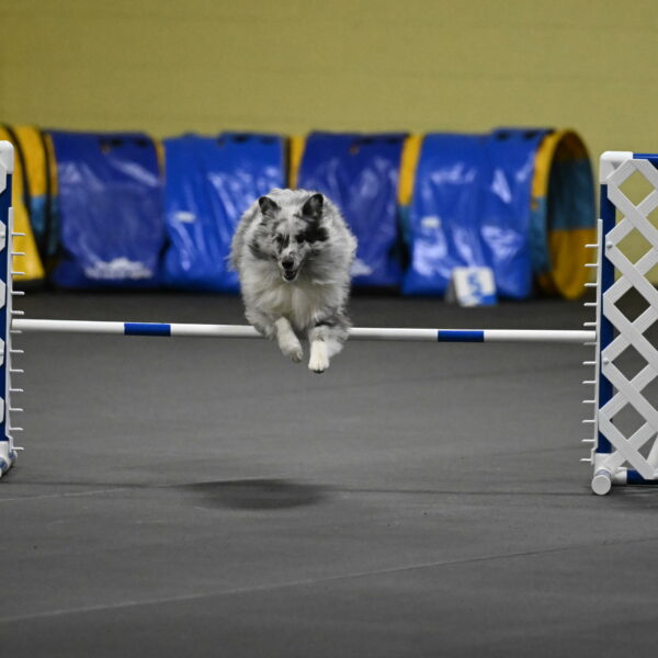 Dulci-Weinrich-08344