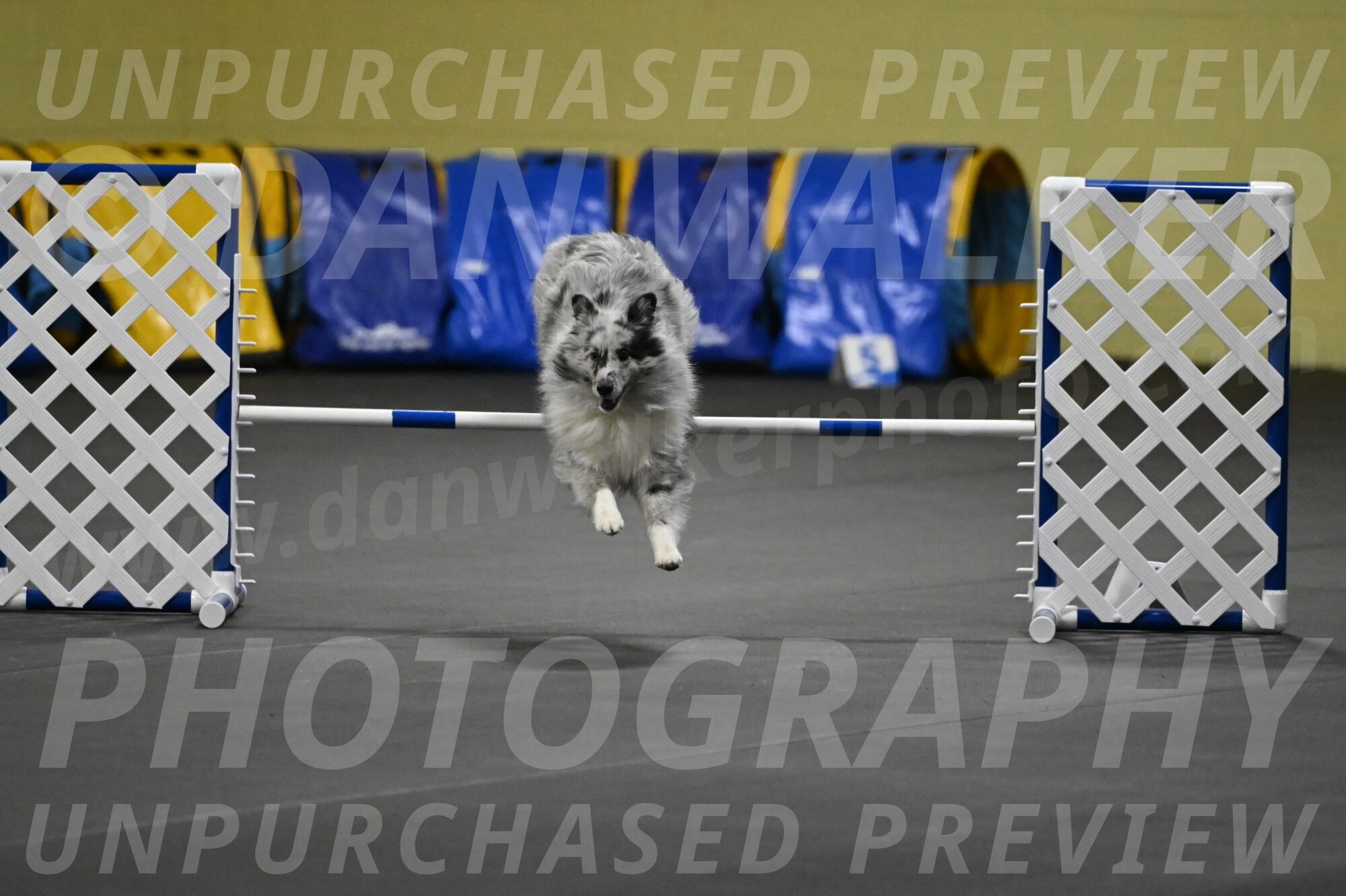 Dulci-Weinrich-08345