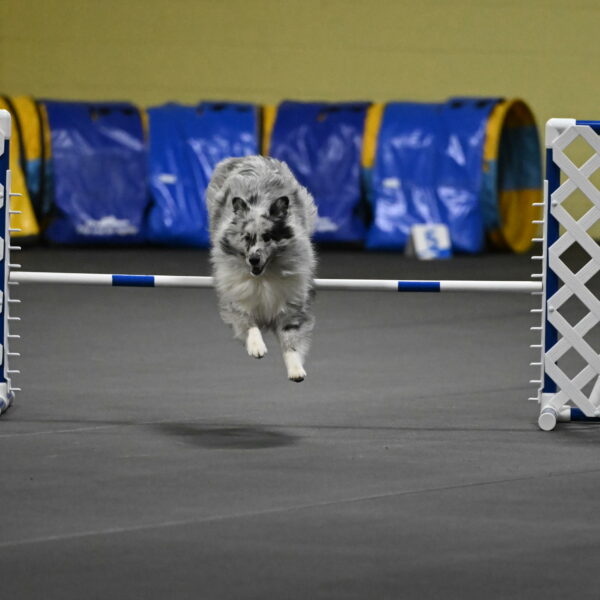 Dulci-Weinrich-08345