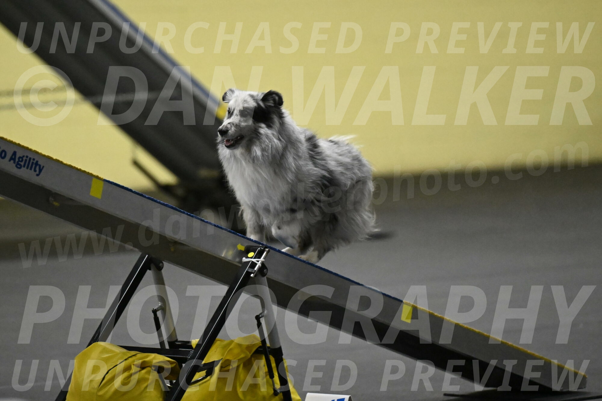 Dulci-Weinrich-08348