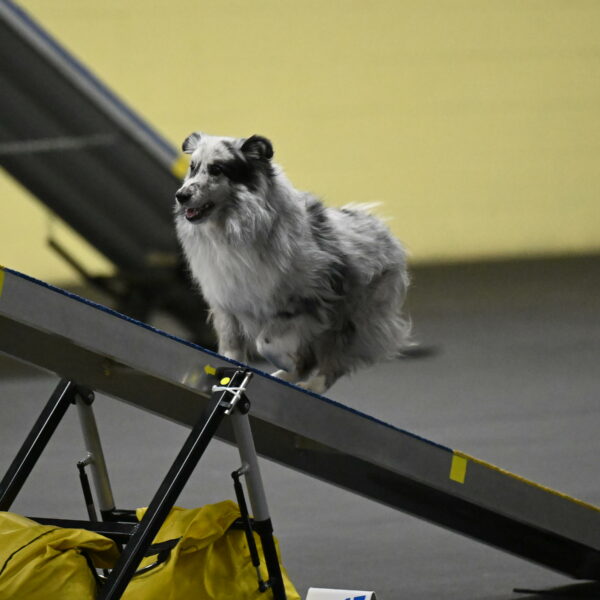 Dulci-Weinrich-08348