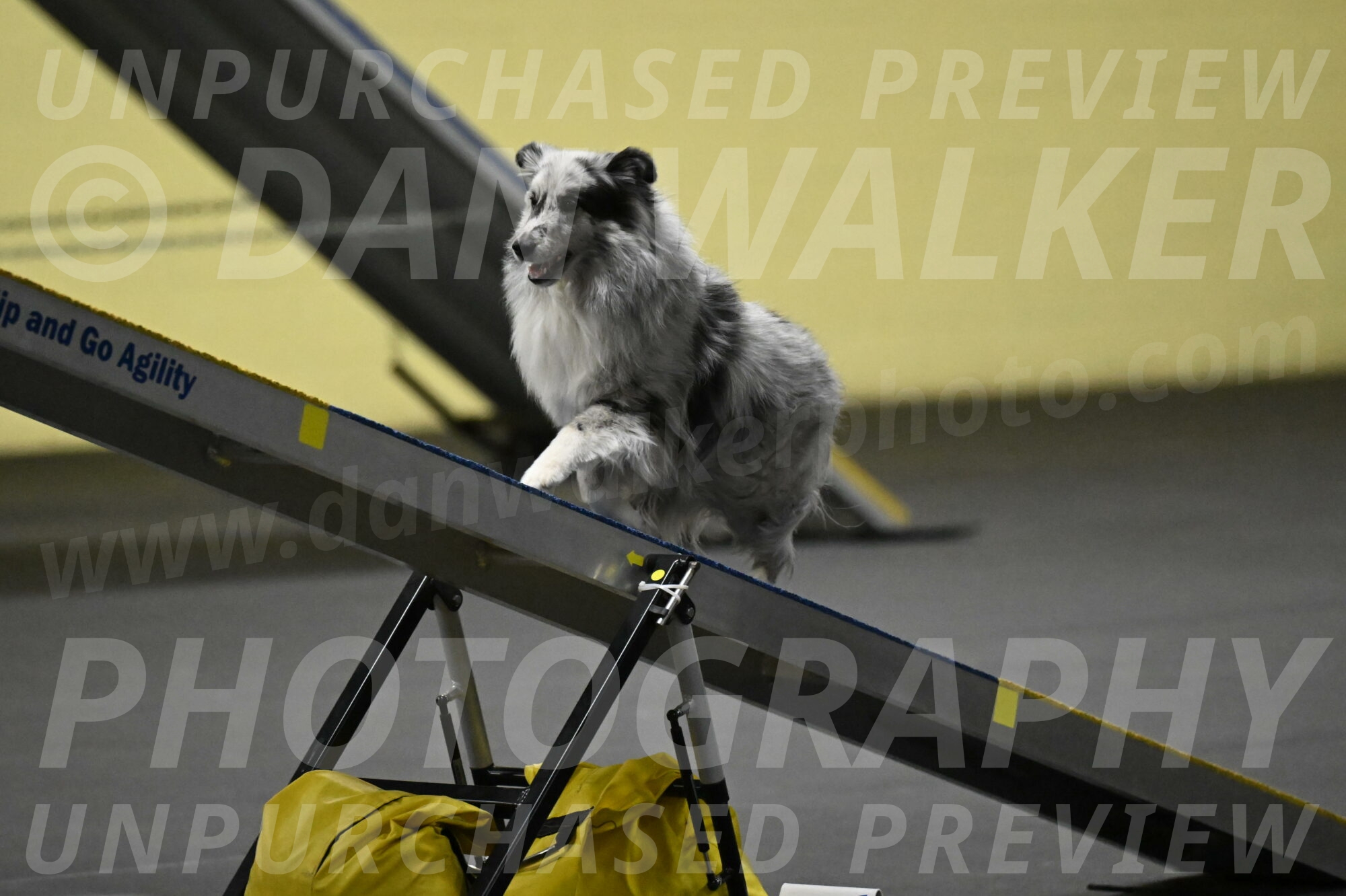 Dulci-Weinrich-08349