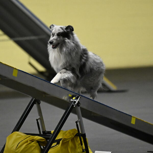 Dulci-Weinrich-08349