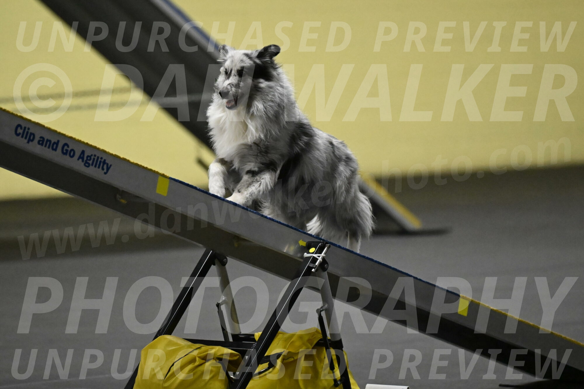 Dulci-Weinrich-08350