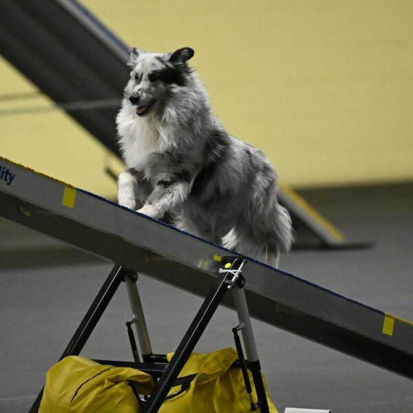 Dulci-Weinrich-08350