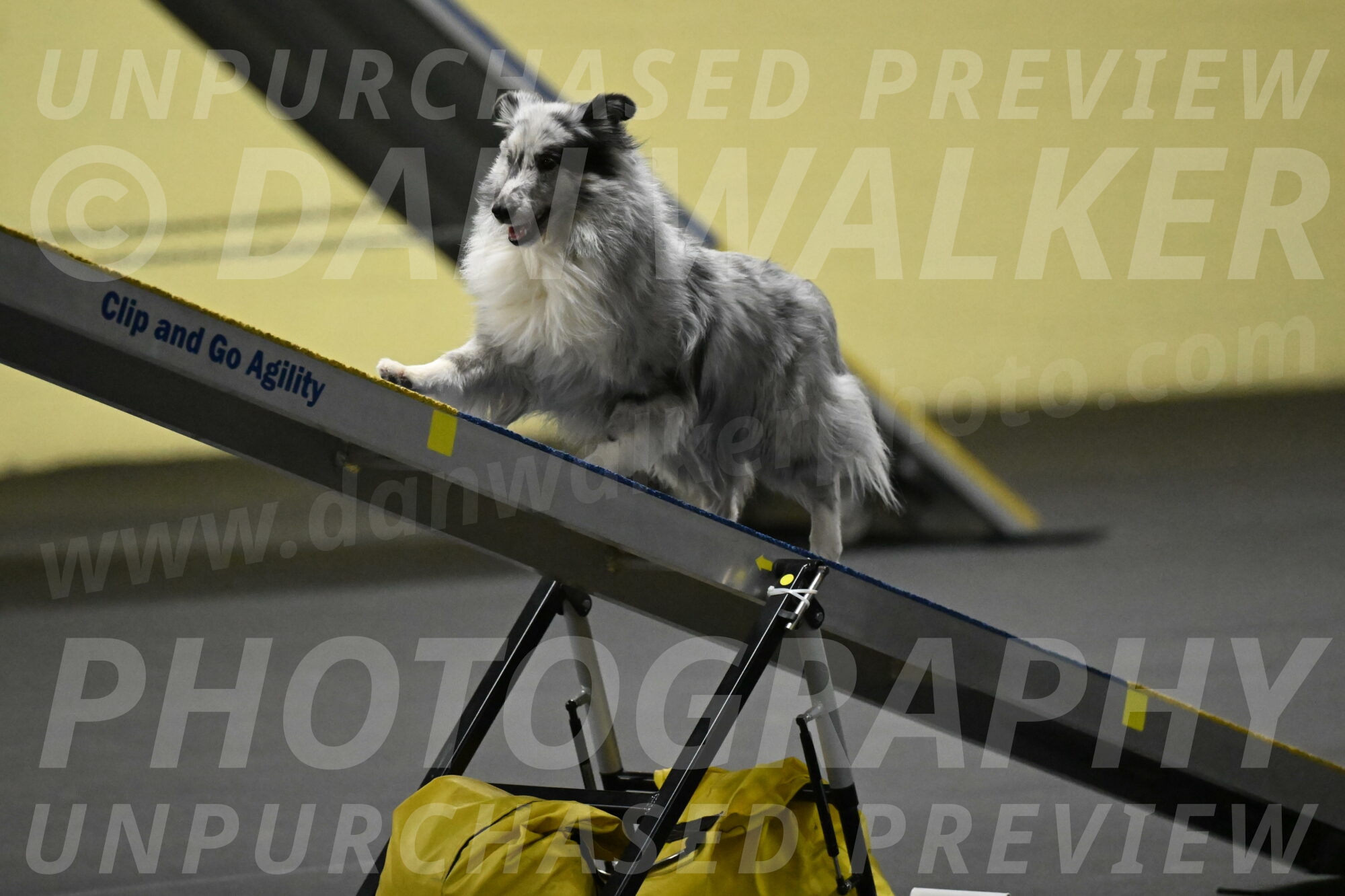 Dulci-Weinrich-08351