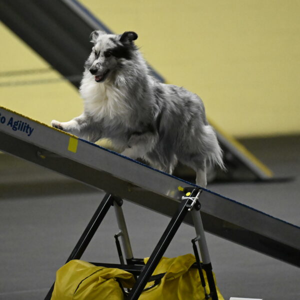 Dulci-Weinrich-08351