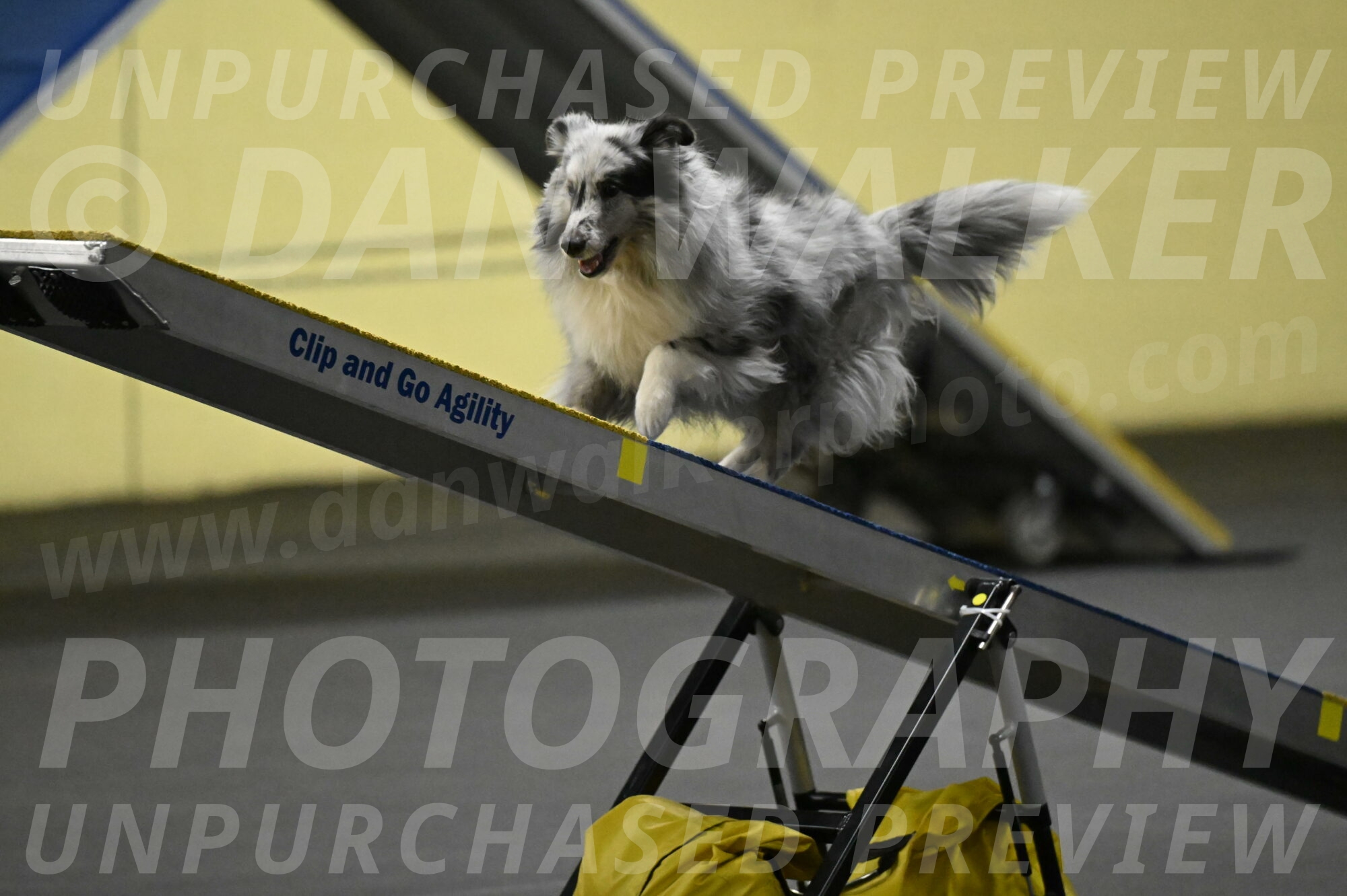 Dulci-Weinrich-08353