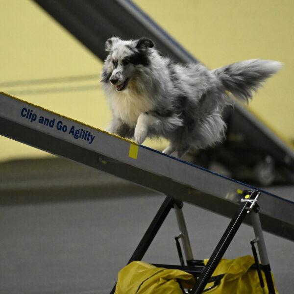 Dulci-Weinrich-08353