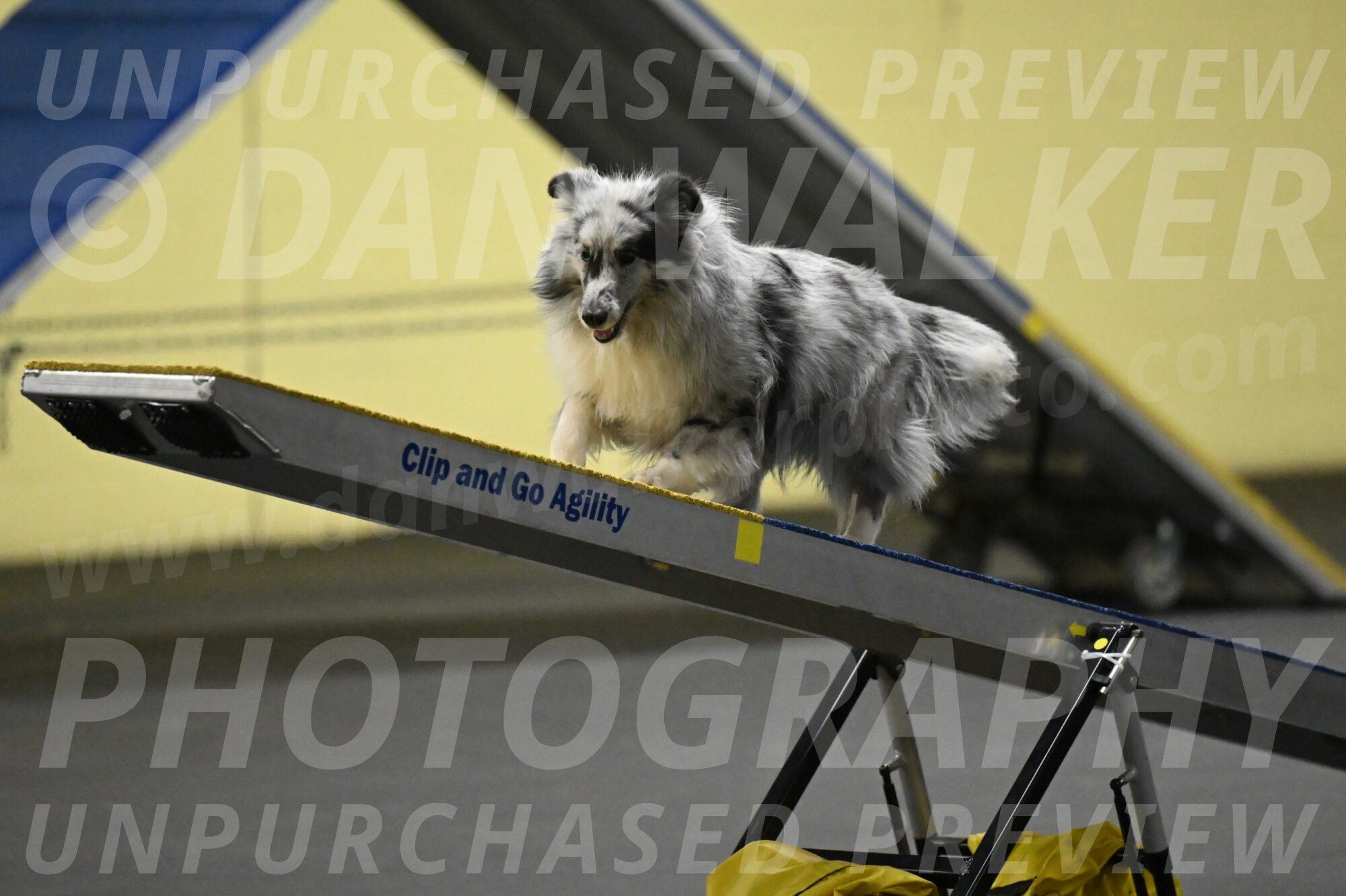 Dulci-Weinrich-08354