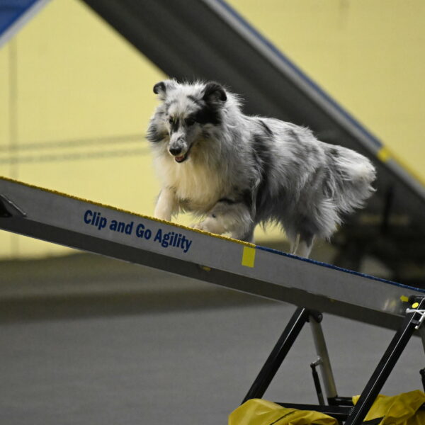 Dulci-Weinrich-08354