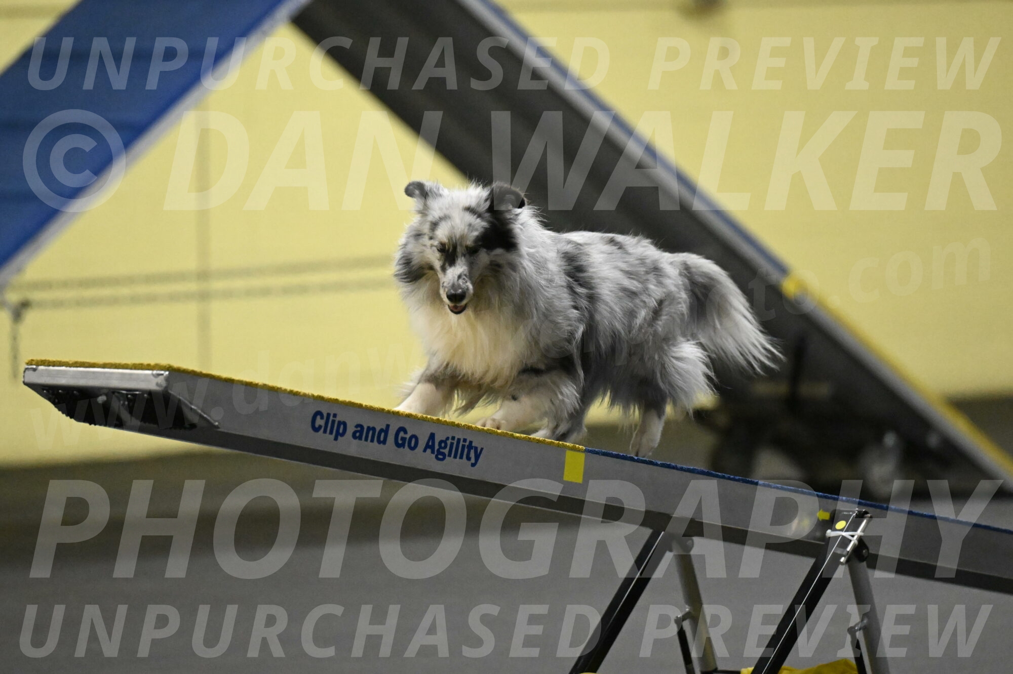 Dulci-Weinrich-08355