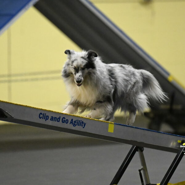 Dulci-Weinrich-08355