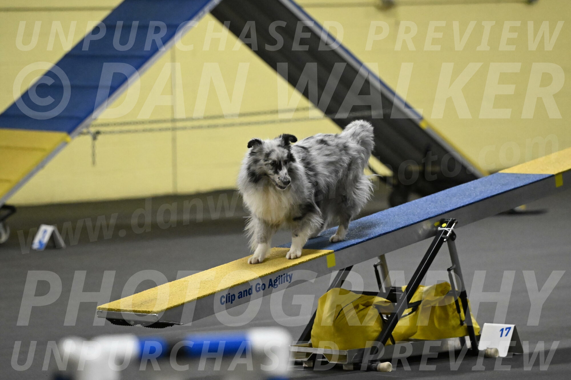 Dulci-Weinrich-08358