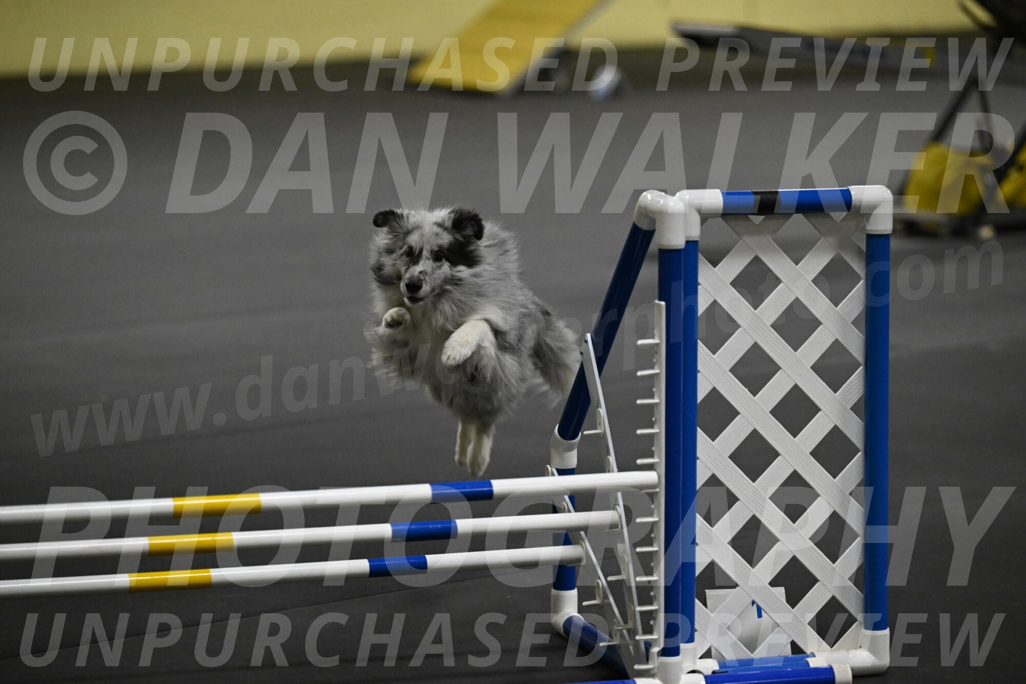 Dulci-Weinrich-08360